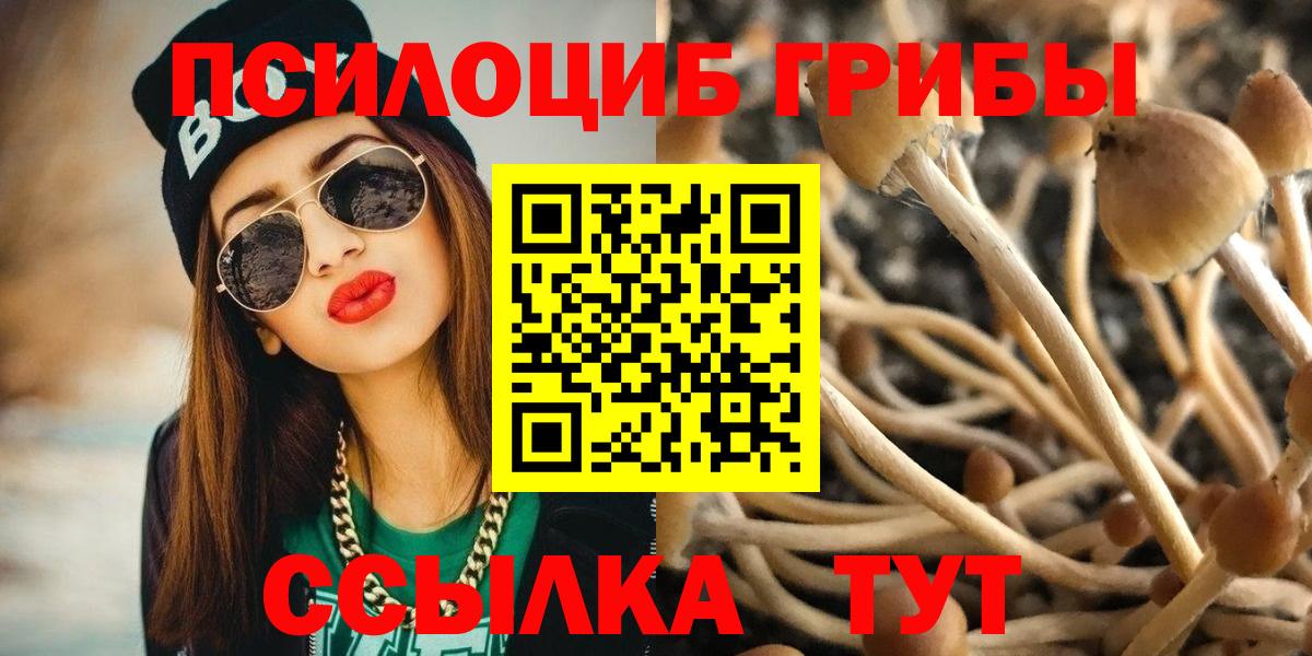 Псилоцибиновые грибы Magic Shrooms  Удомля 