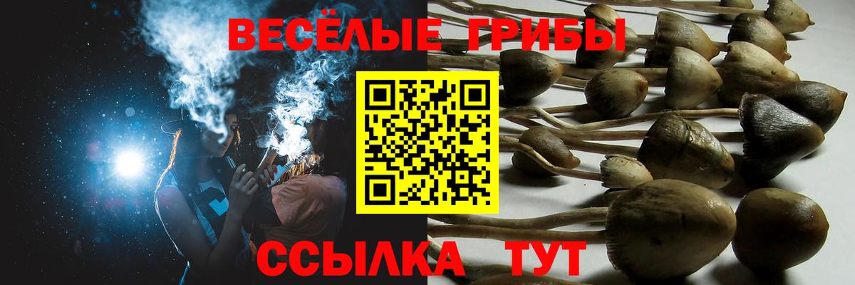 Меф кристаллы  Гашиш  Cocaine  Alpha PVP СОЛЬ кристаллы  Удомля  Меф МЯУ МЯУ   Конопля 
