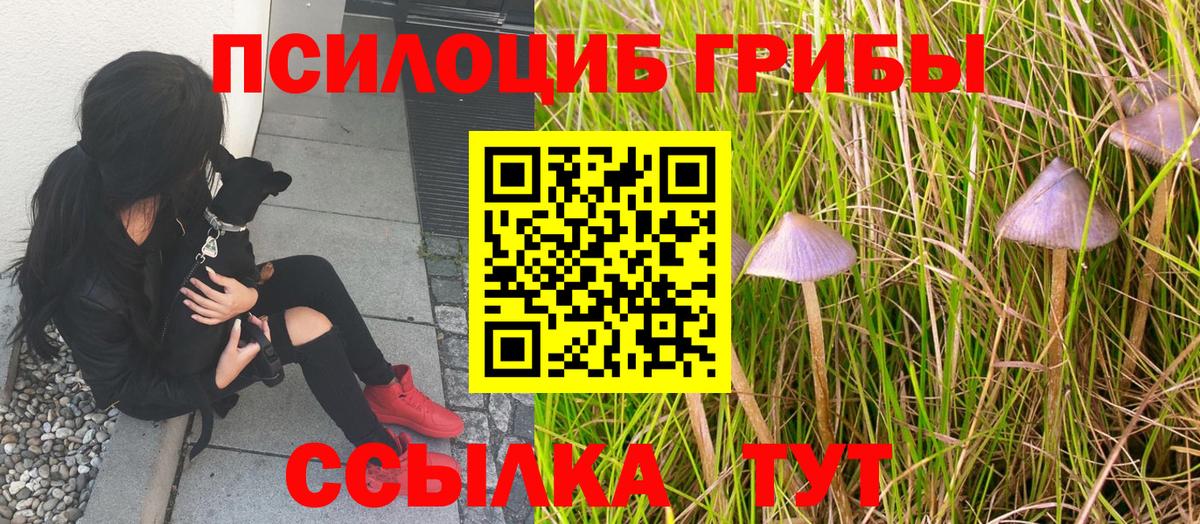 Псилоцибиновые грибы Psilocybine cubensis  Галлюциногенные грибы ЛСД  Удомля  Вход с VPN 